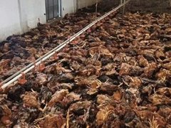 Đọc nhanh bài viết 1037257