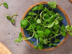 Đọc nhanh bài viết 1037284