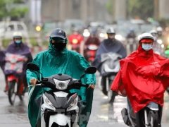 Đọc nhanh bài viết 1037295