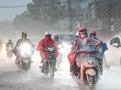 Đọc nhanh bài viết 1037316