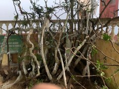 Đọc nhanh bài viết 1037339