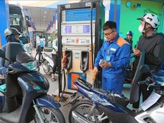 Đọc nhanh bài viết 1037355