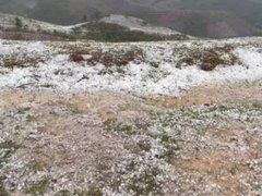 Đọc nhanh bài viết 1037448