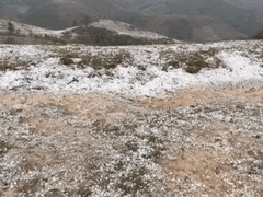 Đọc nhanh bài viết 1037448