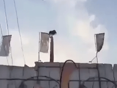 Đọc nhanh bài viết 1037569