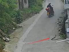 Đọc nhanh bài viết 1037684