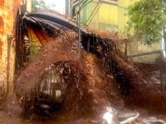 Đọc nhanh bài viết 1037869