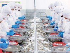 Đọc nhanh bài viết 1038032