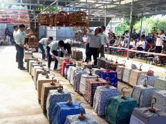 Đọc nhanh bài viết 1038043