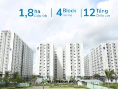 Đọc nhanh bài viết 1038078