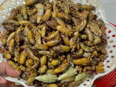Đọc nhanh bài viết 1038082