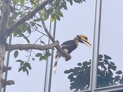 Đọc nhanh bài viết 1038426