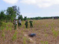Đọc nhanh bài viết 1038468