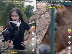 Đọc nhanh bài viết 1038668