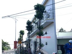 Đọc nhanh bài viết 1038760