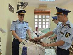 Đọc nhanh bài viết 1038827