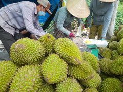 Đọc nhanh bài viết 1171854