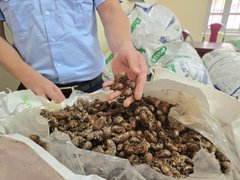 Đọc nhanh bài viết 1171865
