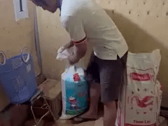 Đọc nhanh bài viết 1172219