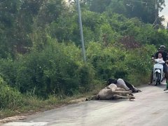 Đọc nhanh bài viết 1172294