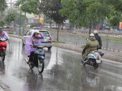 Đọc nhanh bài viết 1172326
