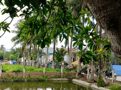 Đọc nhanh bài viết 1172426