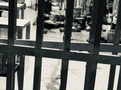 Đọc nhanh bài viết 1172575