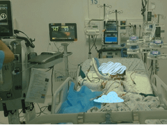 Đọc nhanh bài viết 1179669