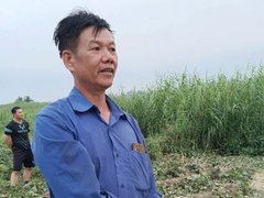 Đọc nhanh bài viết 1179682