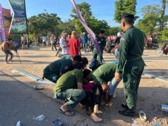 Đọc nhanh bài viết 1180146