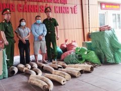 Đọc nhanh bài viết 1180153