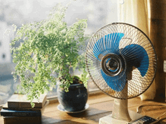 Đọc nhanh bài viết 1180464