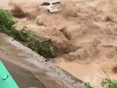 Đọc nhanh bài viết 1180618