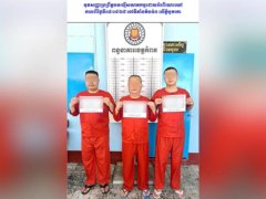 Đọc nhanh bài viết 1180836