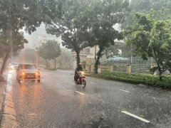 Đọc nhanh bài viết 1180884