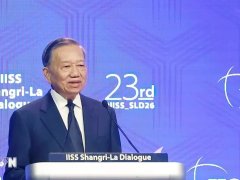 Đọc nhanh bài viết 1180984
