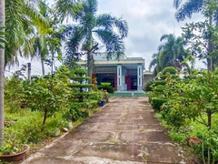 Đọc nhanh bài viết 1181028