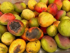 Đọc nhanh bài viết 1181121