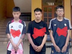 Đọc nhanh bài viết 1181198