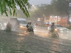Đọc nhanh bài viết 1181201