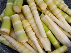 Đọc nhanh bài viết 1181286