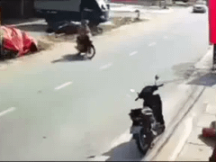 Đọc nhanh bài viết 1181292