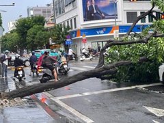 Đọc nhanh bài viết 1181305