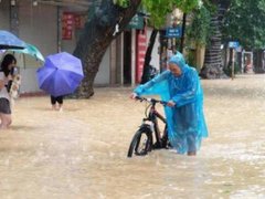 Đọc nhanh bài viết 1181370