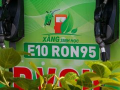 Đọc nhanh bài viết 1181426