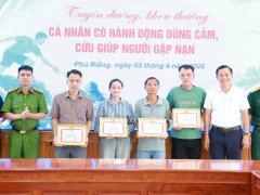 Đọc nhanh bài viết 1181439