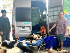 Đọc nhanh bài viết 1181745
