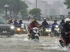 Đọc nhanh bài viết 1182115