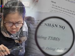 Đọc nhanh bài viết 1182125
