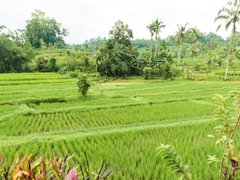 Đọc nhanh bài viết 1182160